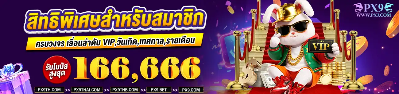px9 banner